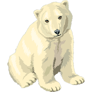 Polar white bear PNG-23510